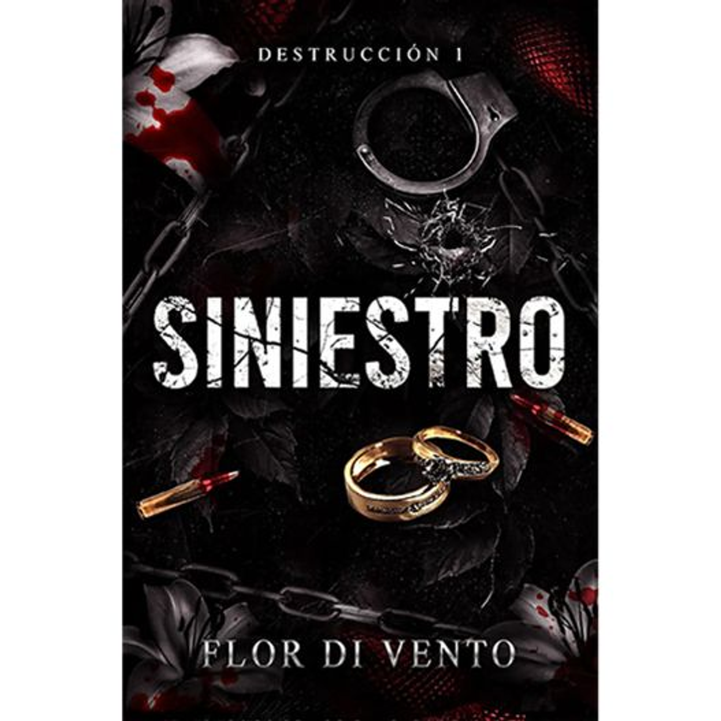 Destruccion 1. Siniestro 1