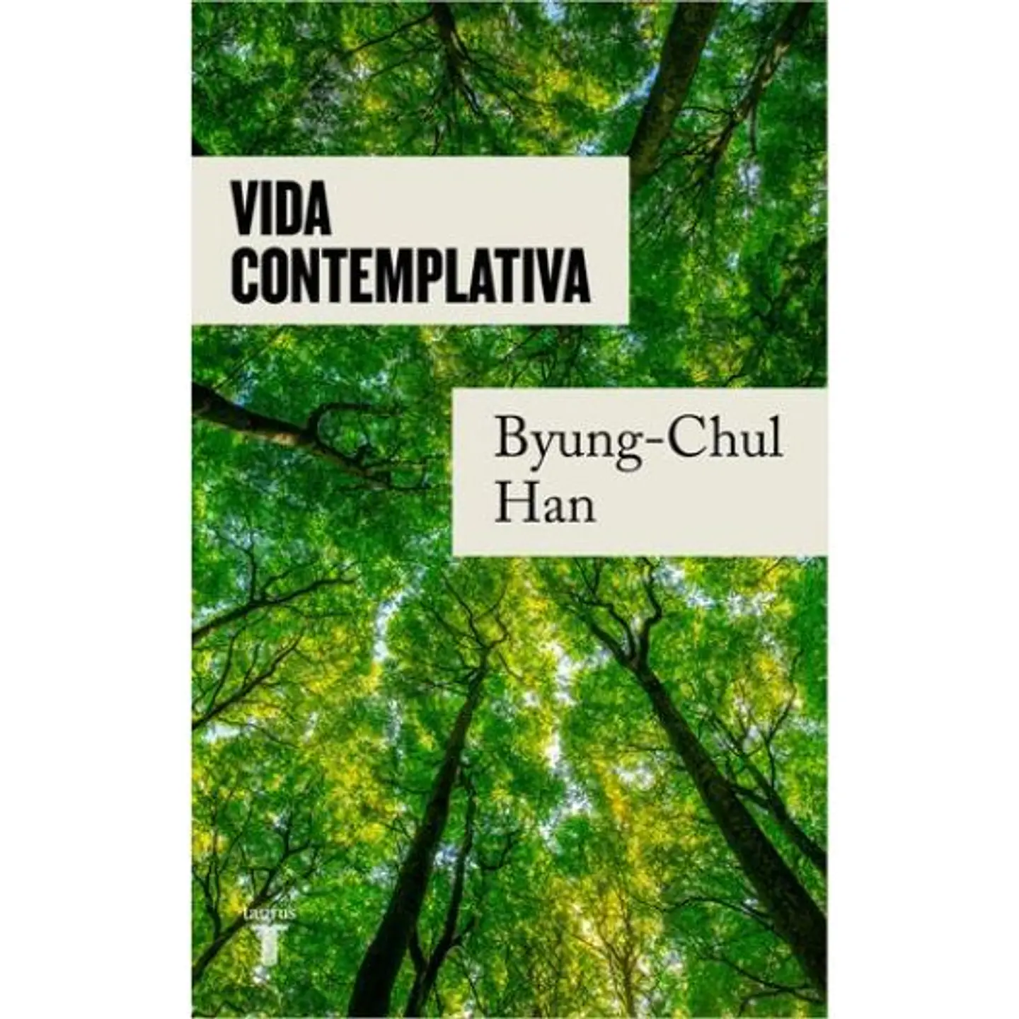 Vida Contemplativa 1