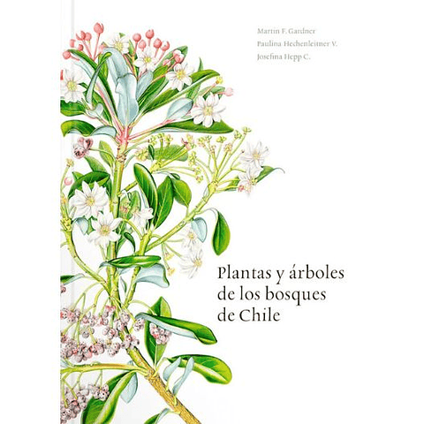 Plantas Y Arboles De Los Bosques De Chile