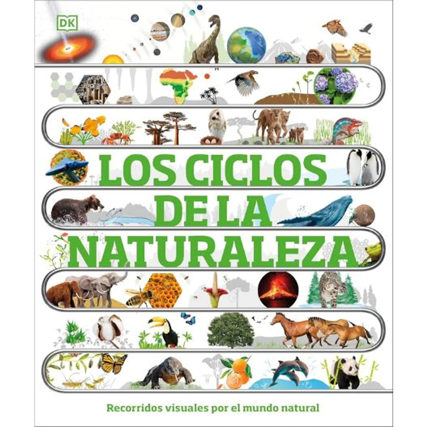 Los Ciclos De La Naturaleza Recorridos Visuales Por El Mundo Natural 1