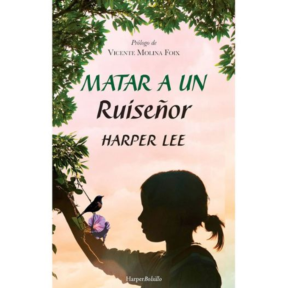 Matar A Un Ruiseñor 1