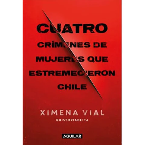 Cuatro Crimenes De Mujeres Que Estremecieron Chile