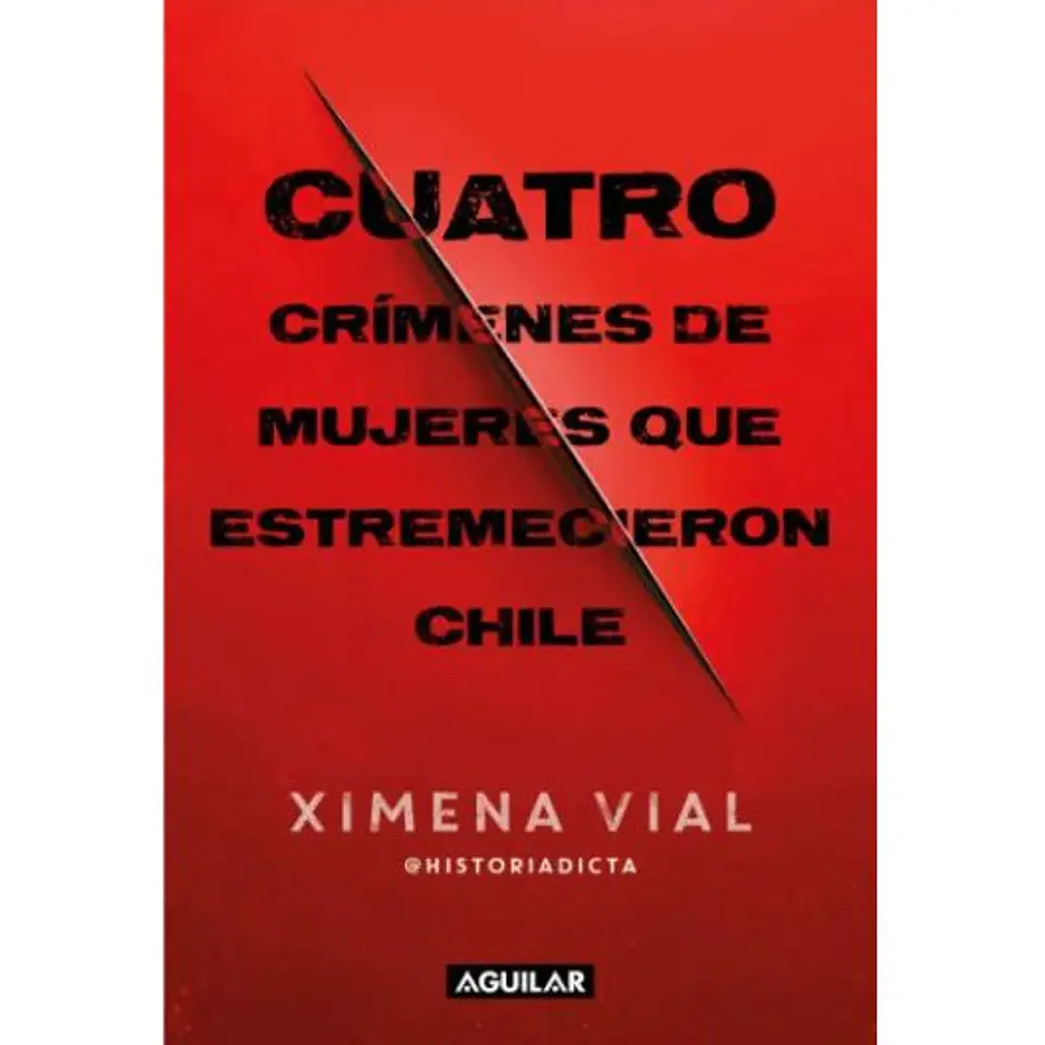 Cuatro Crimenes De Mujeres Que Estremecieron Chile 1