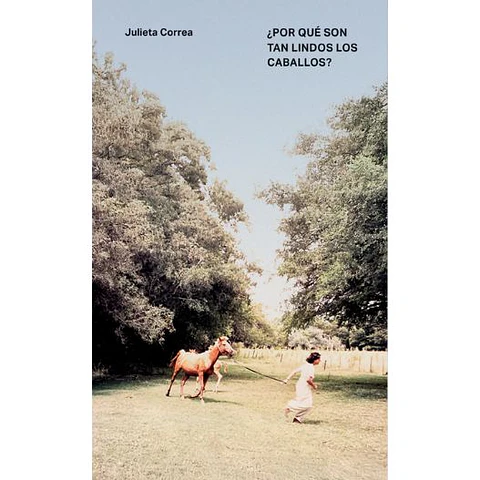 Por Que Son Tan Lindos Los Caballos