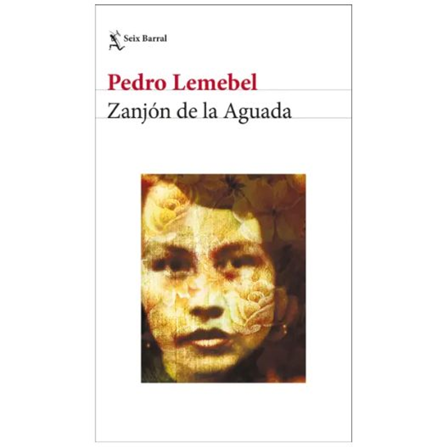 Zanjon De La Aguada 1