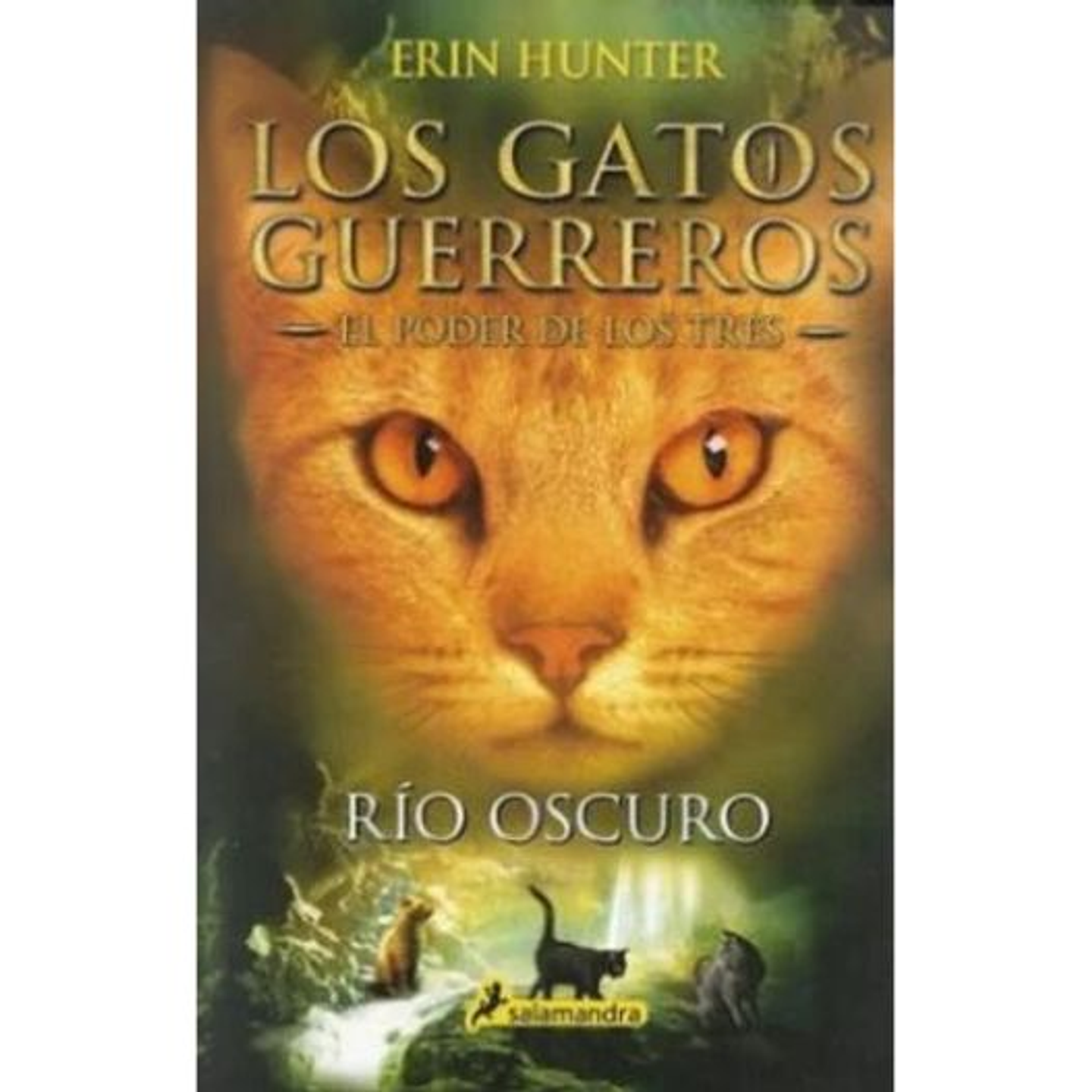 Gatos Guerreros El Poder De Los Tres 2 Rio Oscuro 1