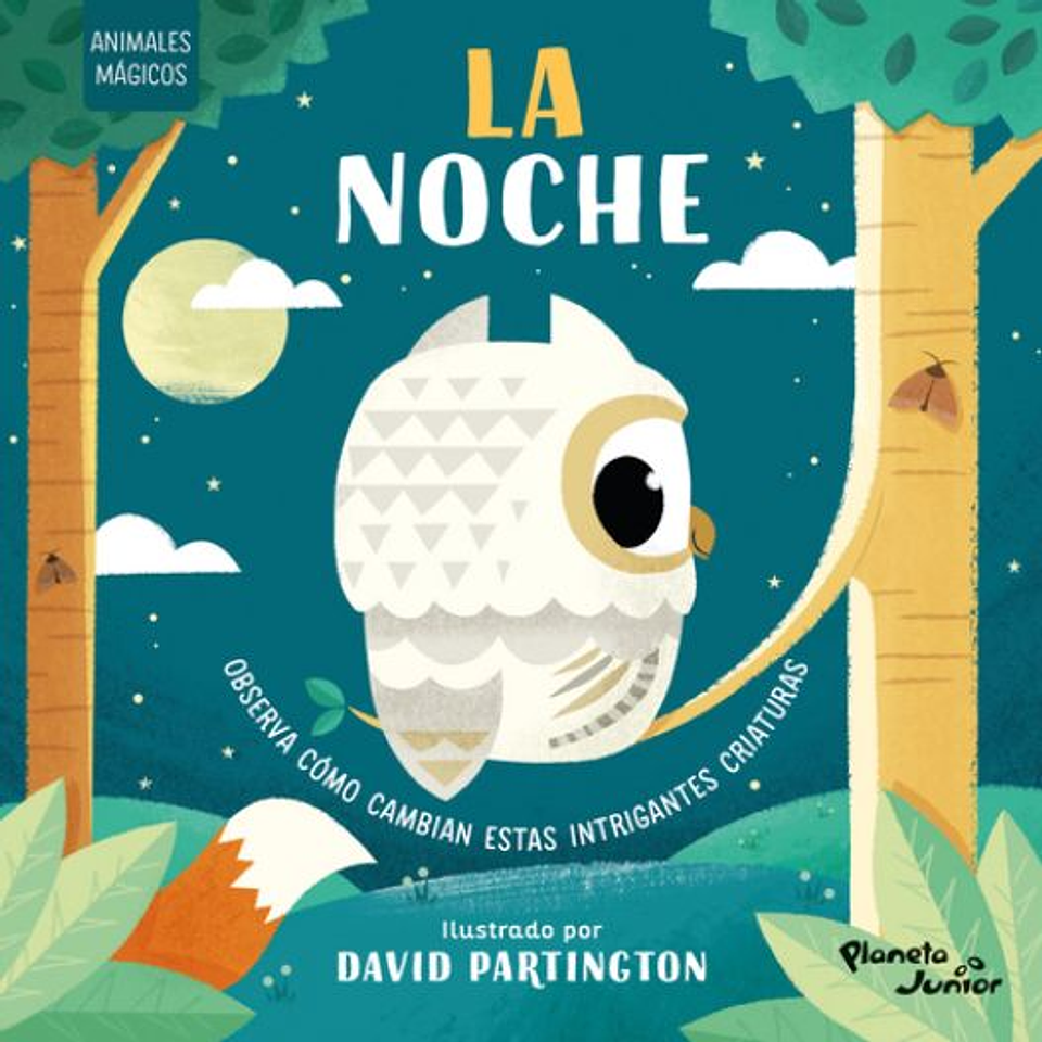  Animales Magicos La Noche 1