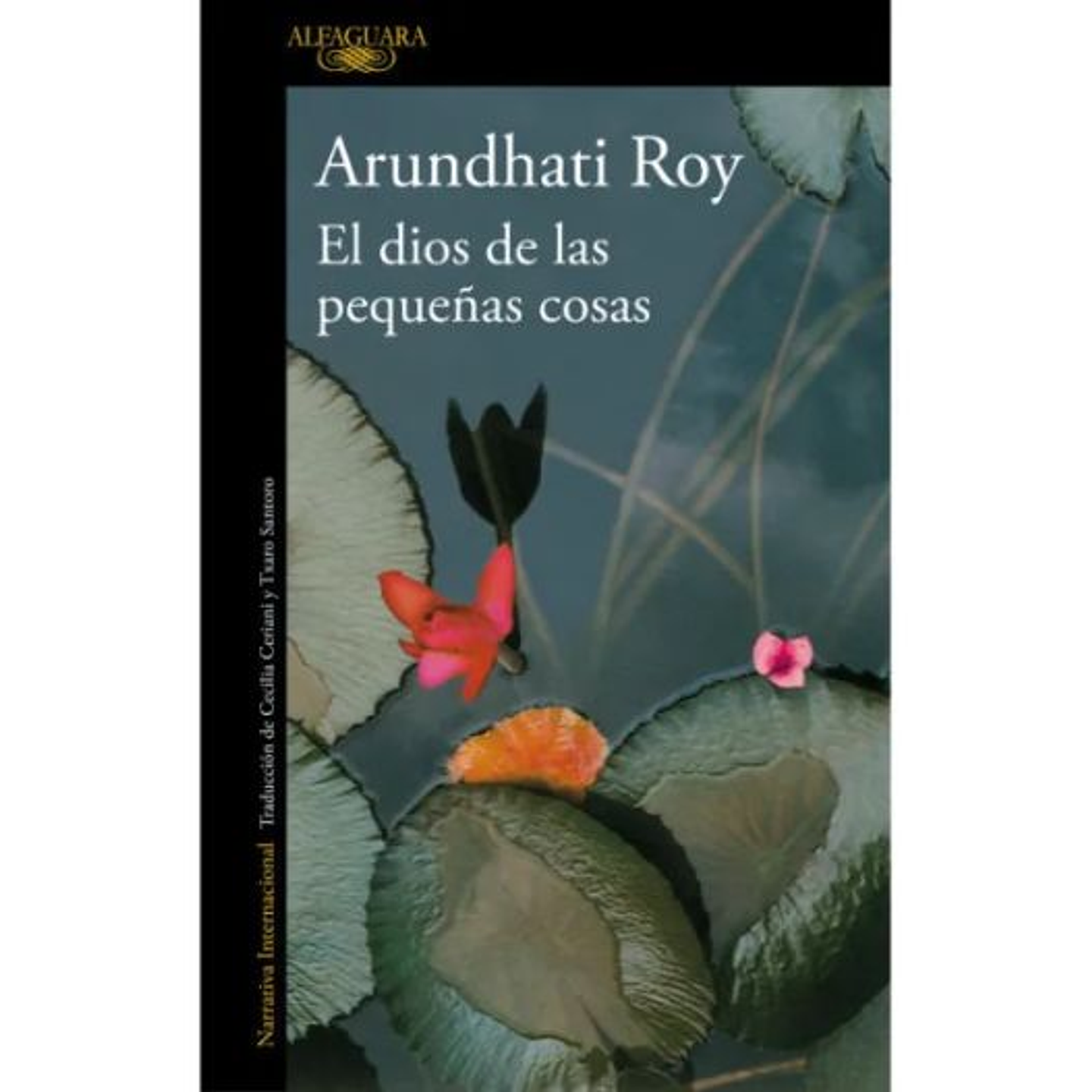 El Dios De Las Pequeñas Cosas 1