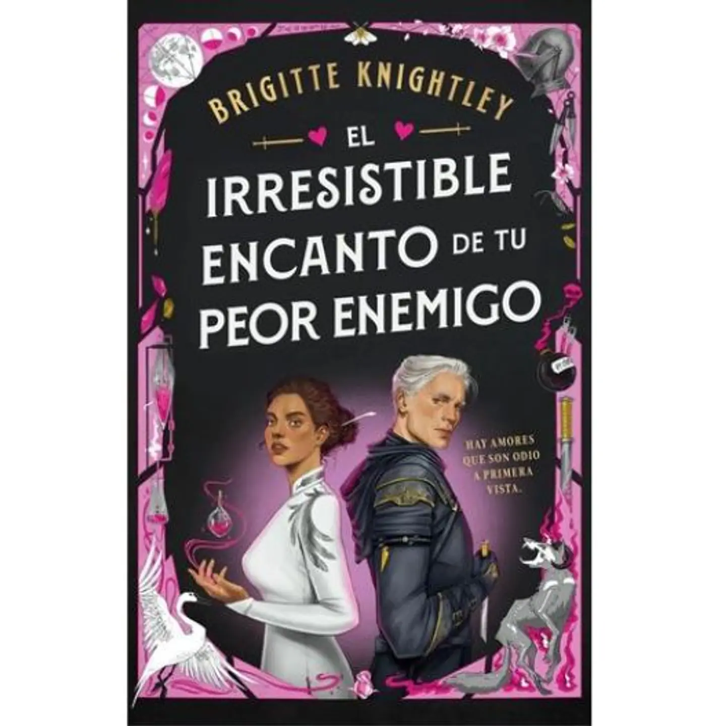 El Irresistible Encanto De Tu Peor Enemigo 1