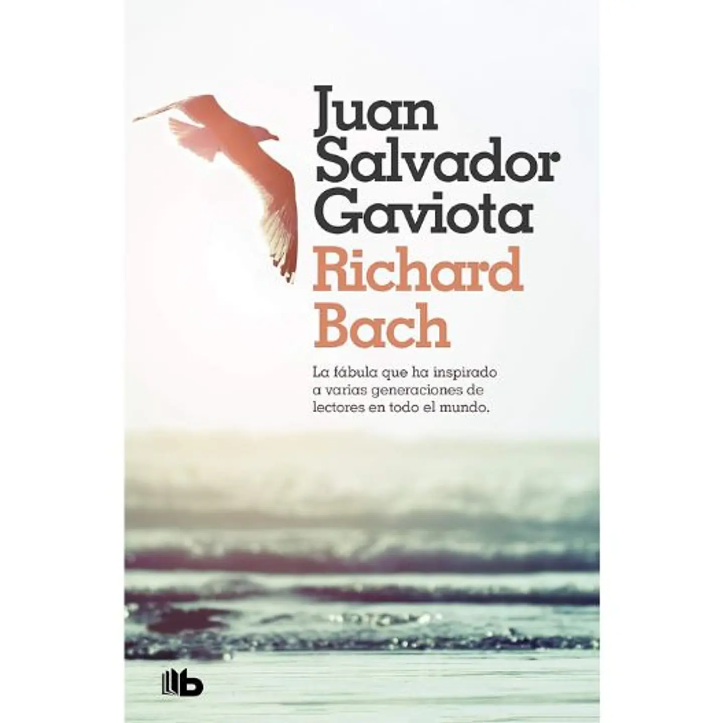 Juan Salvador Gaviota 1