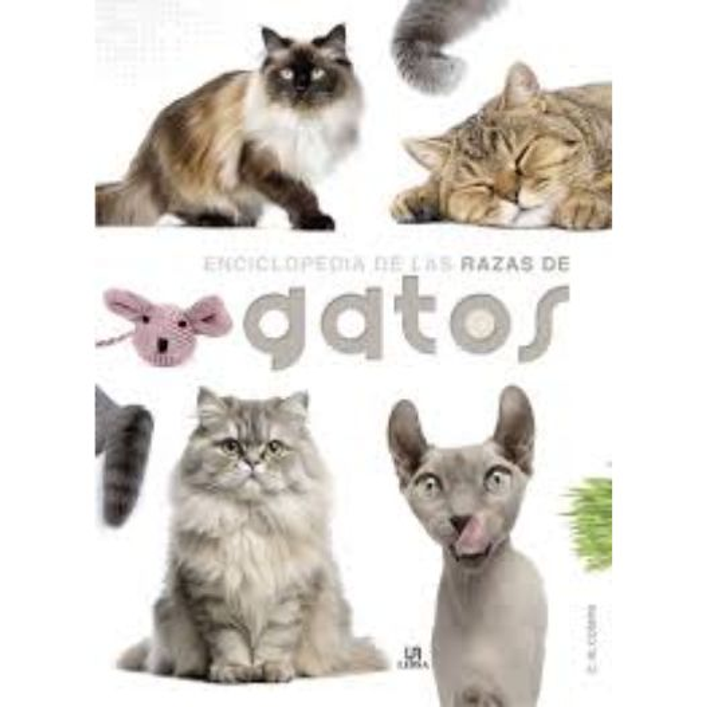 Enciclopedia De Razas De Gatos 1