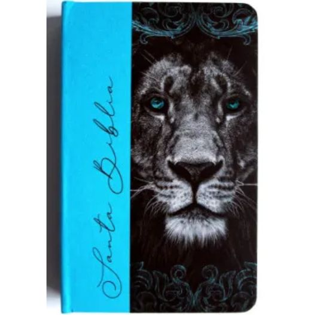 Biblia Reina Valera Revisada 1960 Letra Grande Tamaño Manual Tapa Dura De Tela Leon Aguamarina 1