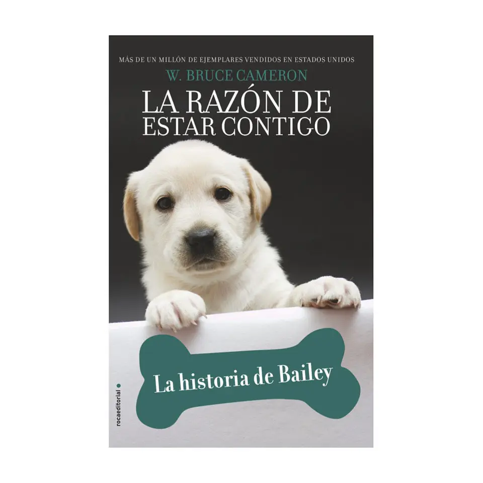 La Razon De Estar Contigo 5 - La Historia De Bailey 1
