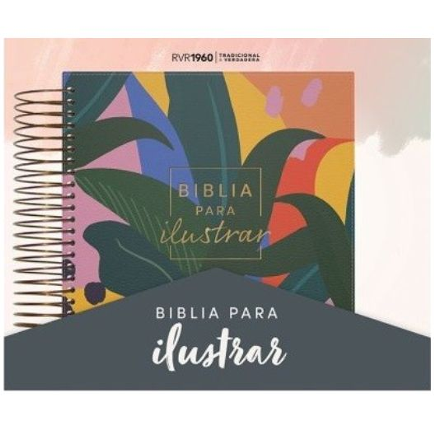 Biblia Reina Valera 1960 Para Ilustrar. Tapa Imitacion Piel Anillada 1