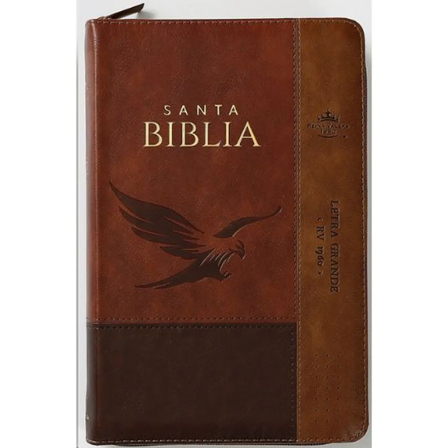 Biblia Rv1960 Tamaño Manual Letra Grande Cafe Aguila 1