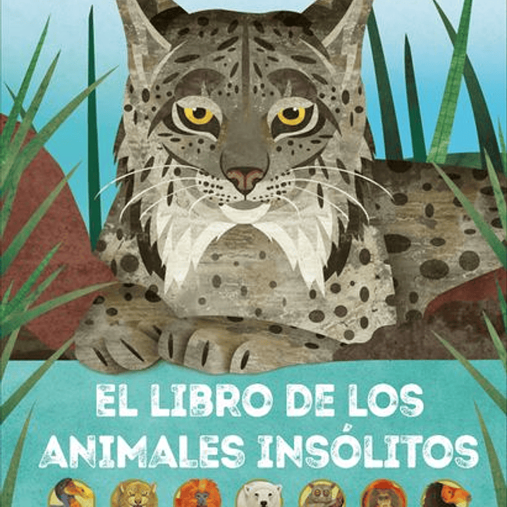 El Libro De Los Animales Insolitos 1
