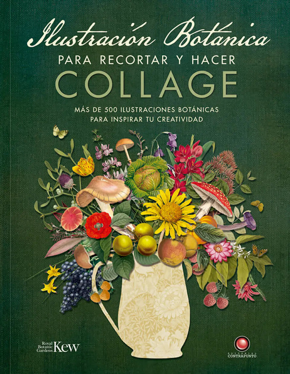 Ilustracion Botanica Para Recortar Y Hacer Collage 1