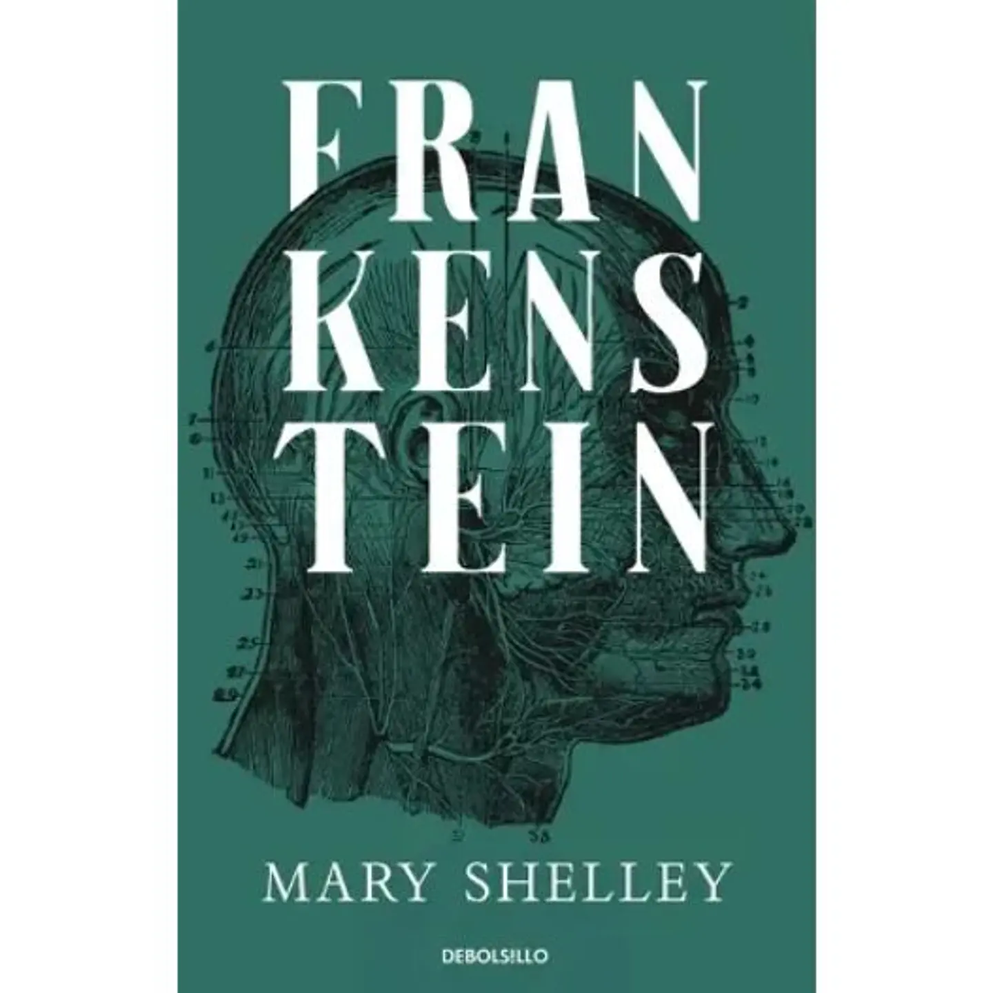 Frankenstein   1