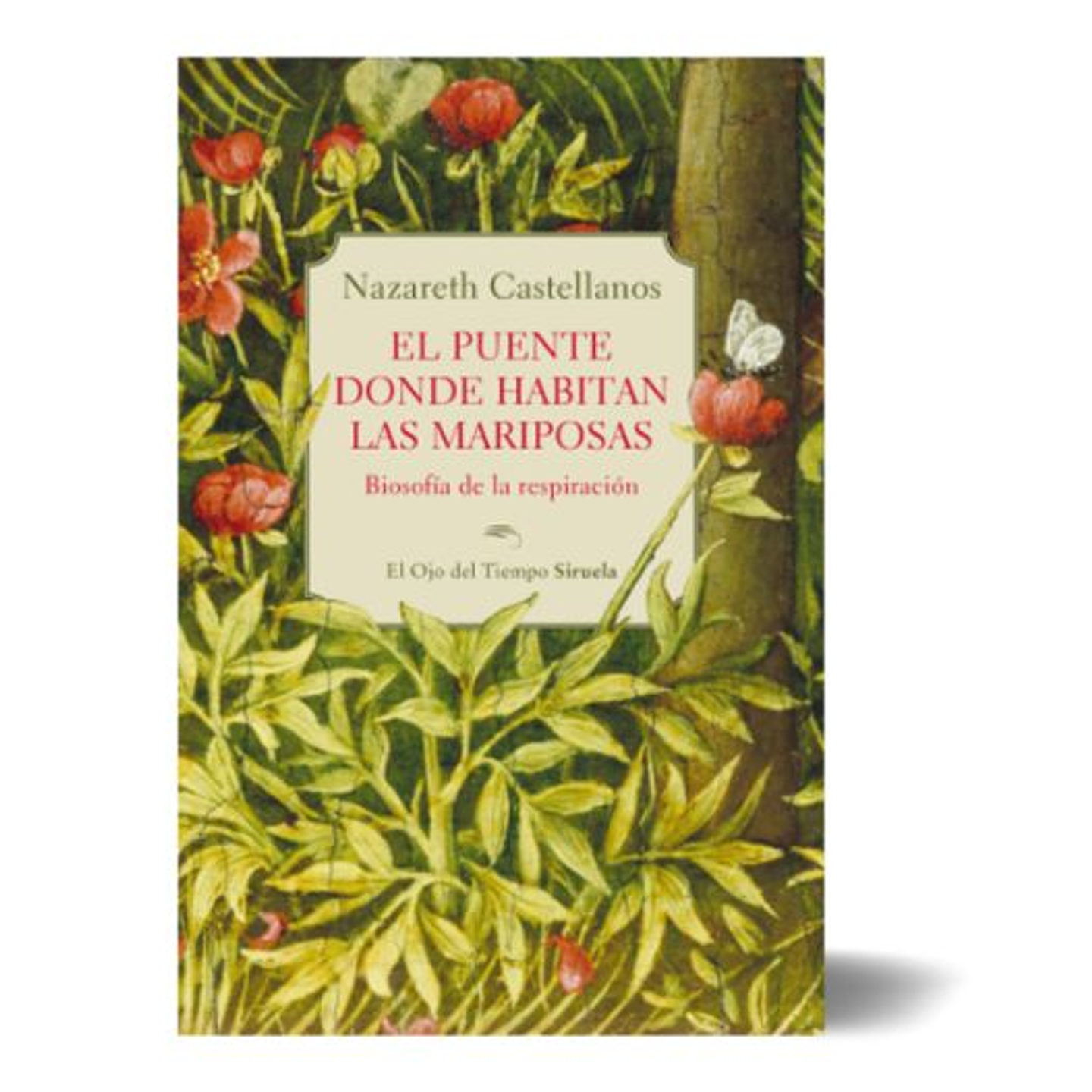 El Puente Donde Habitan Las Mariposas 1