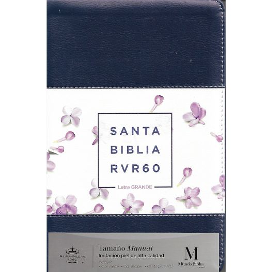 Biblia Rvr 1960 Letra Grande Tamaño Manual Serie Tricolor Lila 1