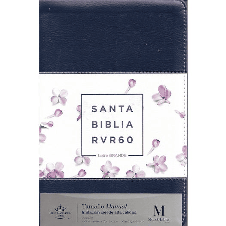 Biblia Rvr 1960 Letra Grande Tamaño Manual Serie Tricolor Lila 1