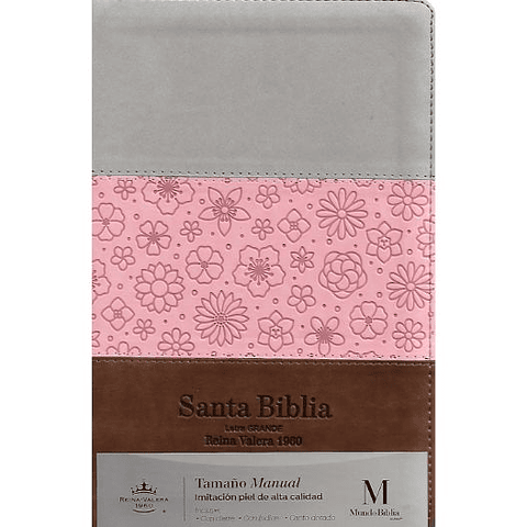 Biblia Reina Valera 1960 Letra Grande Tamaño Manual  Serie Tricolor Rosa-gris-cafe