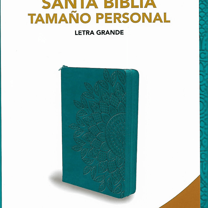Biblia Reina Valera1960 Tamaño Personal Letra Grande Con Indice Y Cierre 1