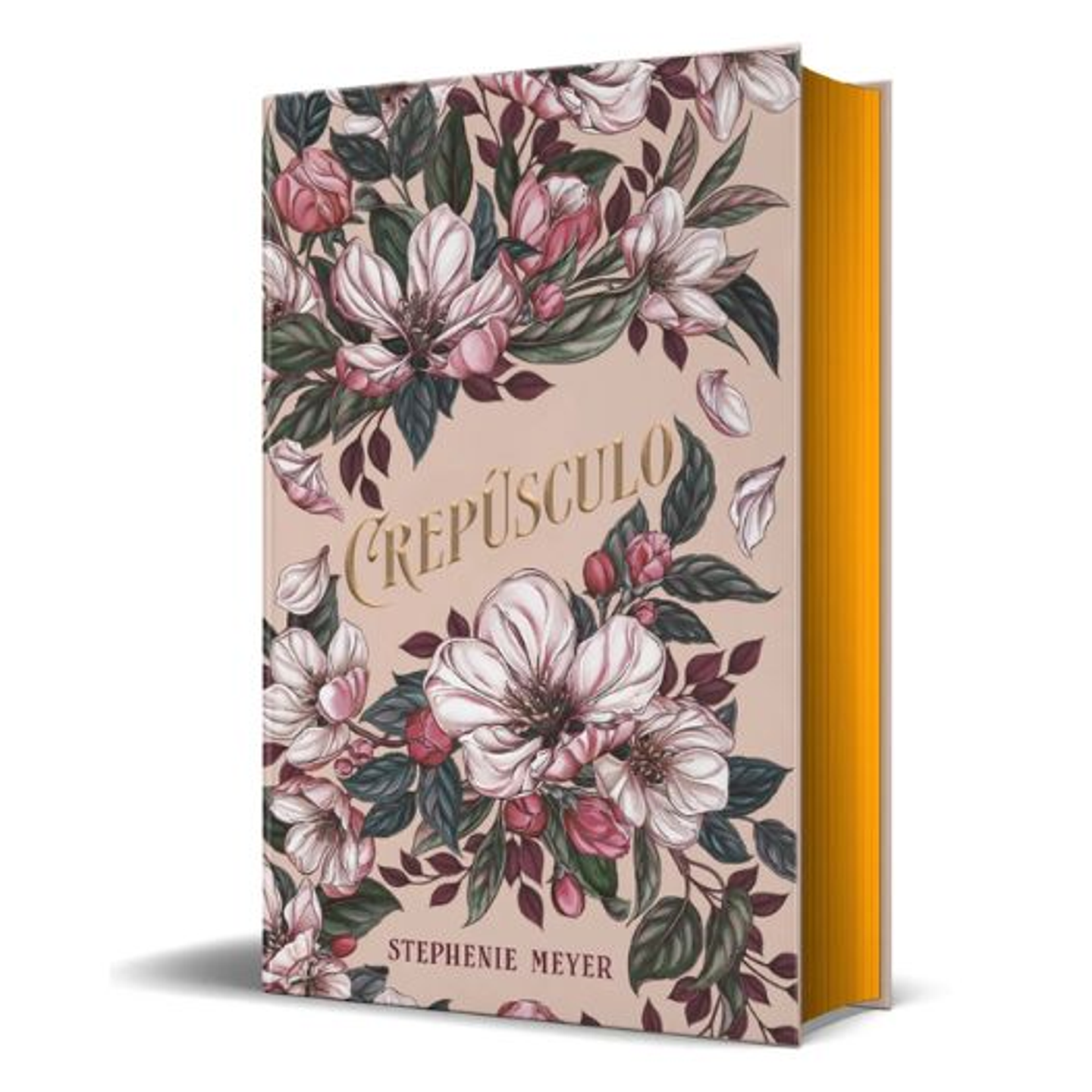 Crepusculo - Edicion Especial  1