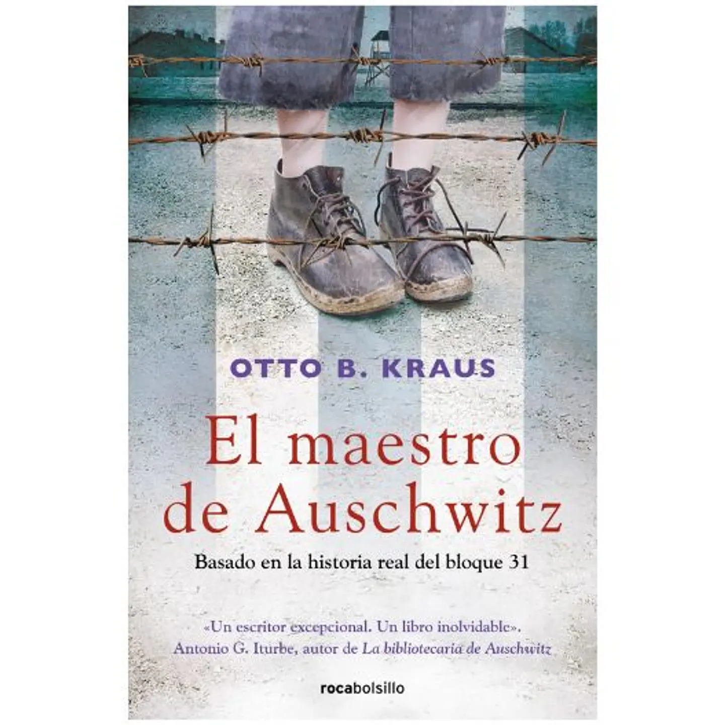 El Maestro De Auschwitz 1