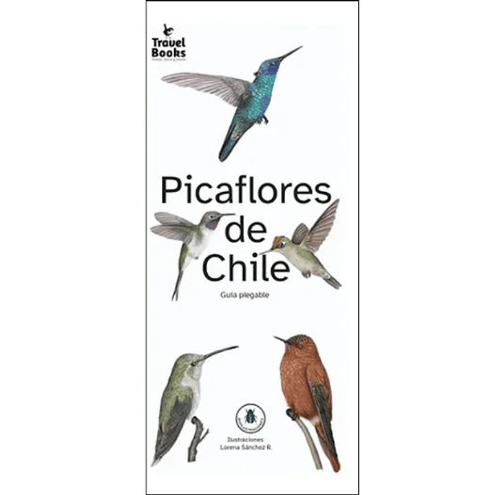Guia Desplegable - Picaflores De Chile 1