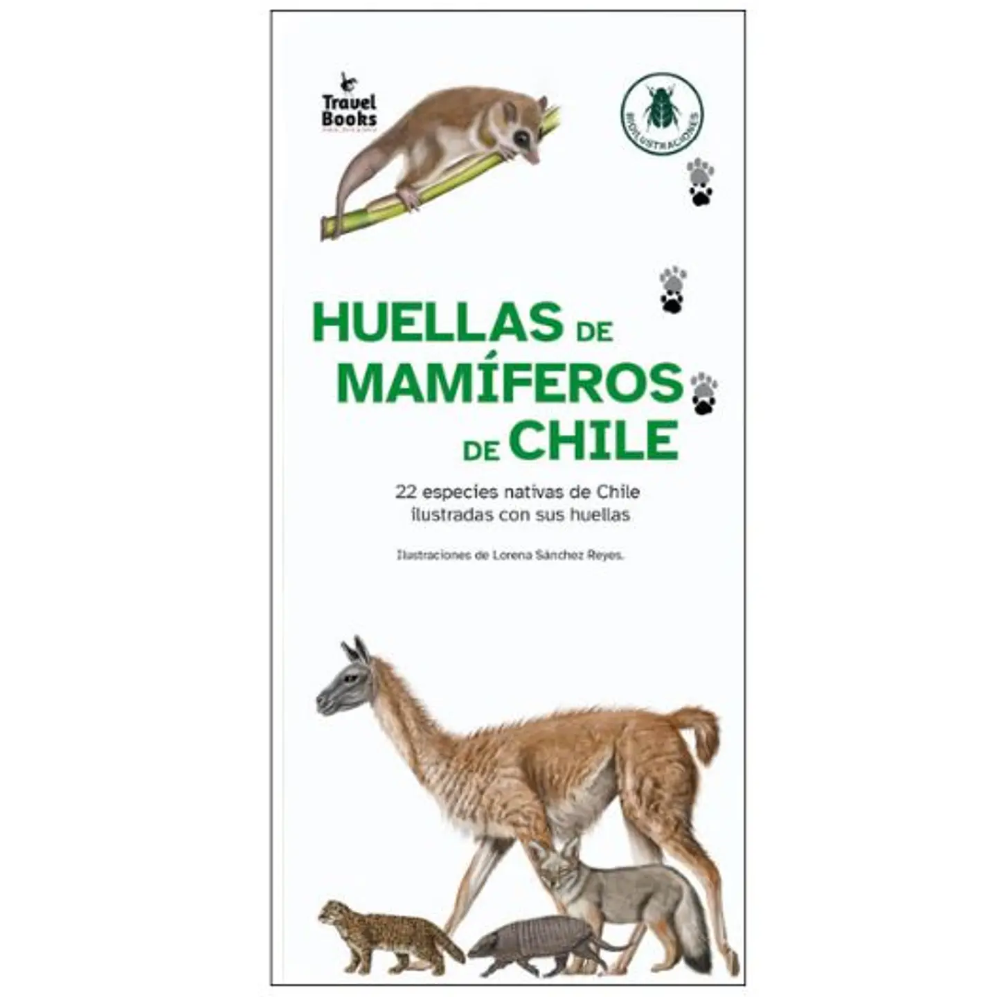 Gía Desplegable - Huellas De Mamifereos De Chile 1