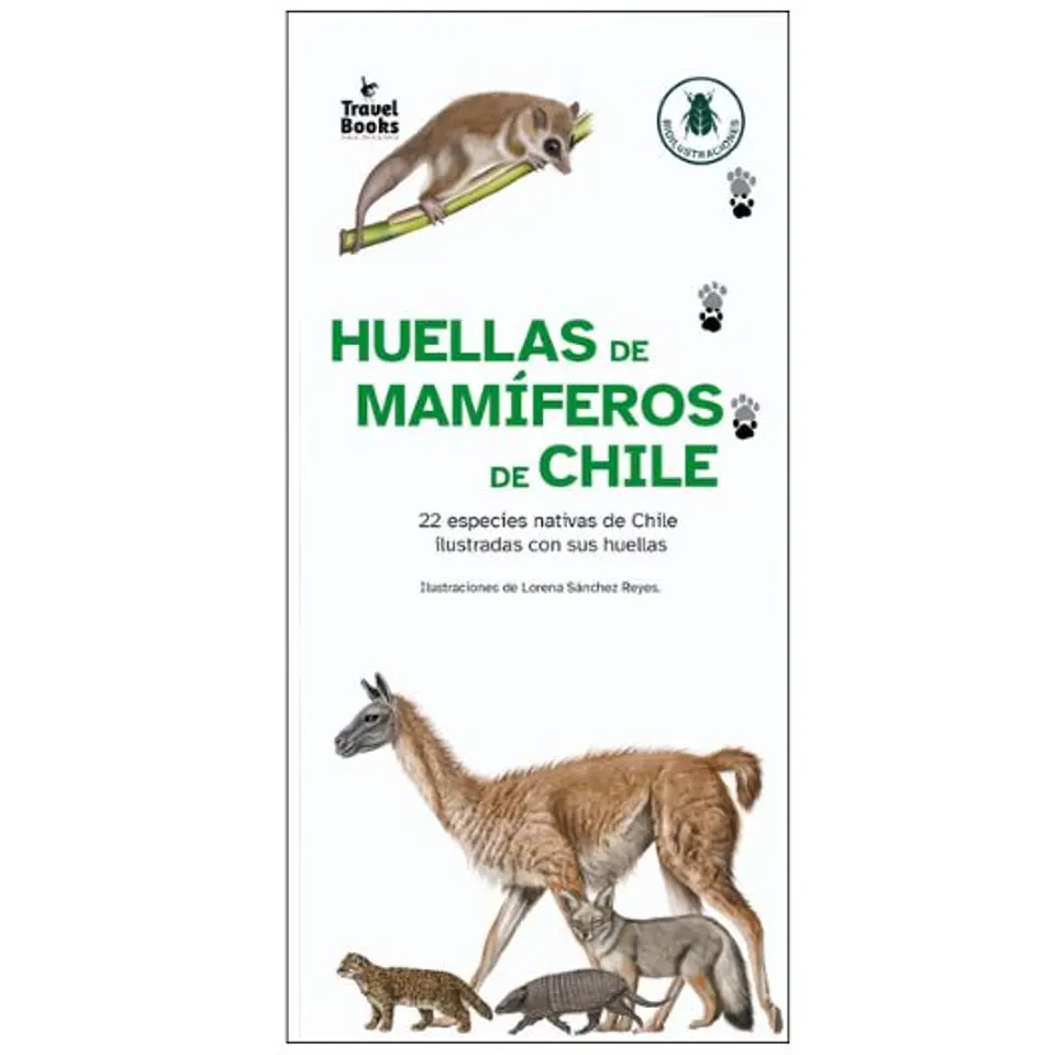 Gía Desplegable - Huellas De Mamifereos De Chile 1