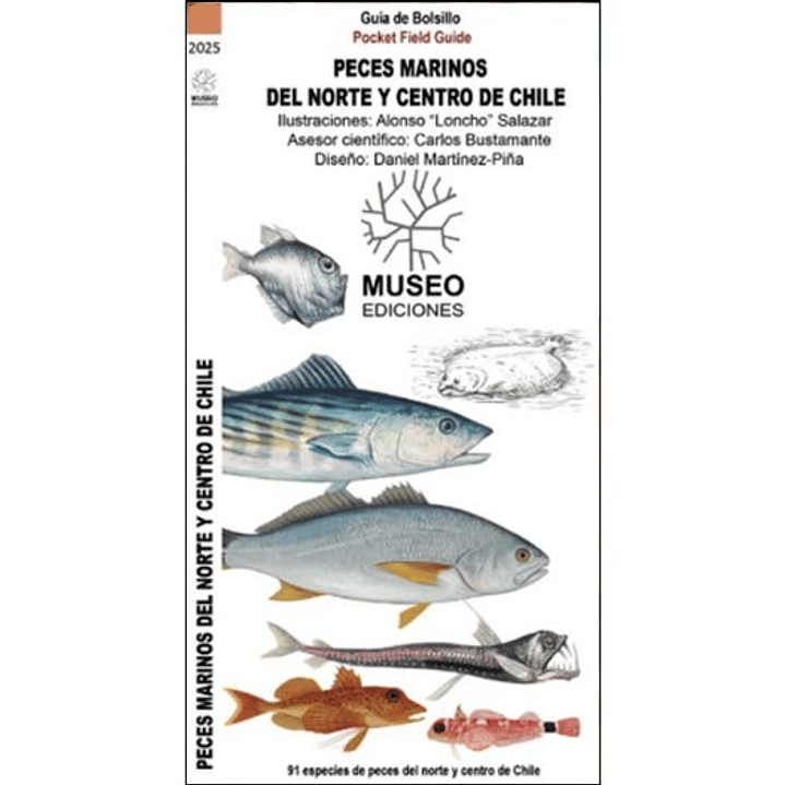 Guia Desplegable Peces Marinos Del Norte Y Centro De Chile 1