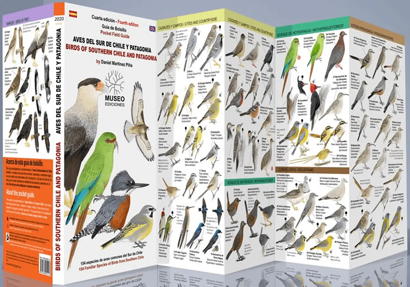 Guia De Aves Del Sur De Chile Y Patagonia 1