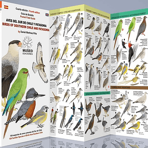 Guia De Aves Del Sur De Chile Y Patagonia