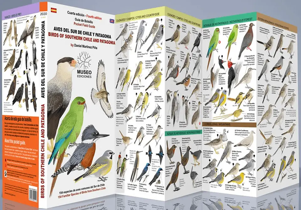 Guia De Aves Del Sur De Chile Y Patagonia 1