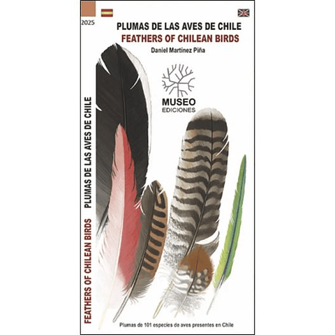 Guia De Bolsillo - Plumas De Las Aves De Chile