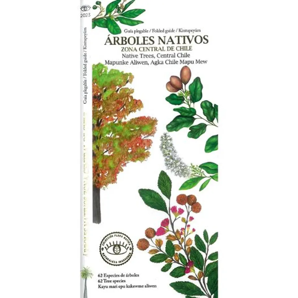 Arboles Nativos De La Zona Central De Chile  1