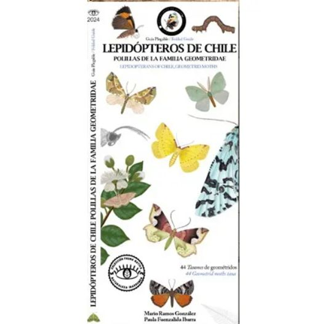 Guia Plegable Lepidopteros De Chile, Polillas De La Familia Saturniidae 1
