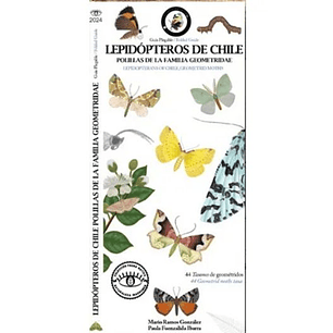 Guia Plegable Lepidopteros De Chile, Polillas De La Familia Saturniidae