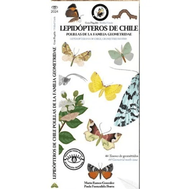 Guia Plegable Lepidopteros De Chile, Polillas De La Familia Saturniidae 1