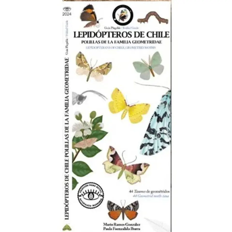 Guia Plegable Lepidopteros De Chile, Polillas De La Familia Saturniidae 1