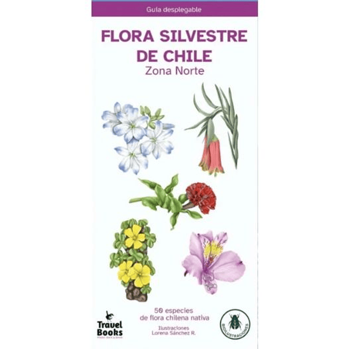 Flora Silvestre De Chile Zona Norte 1