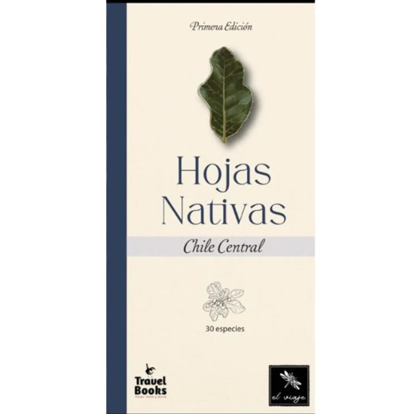 Hojas Nativas Chile Central 1