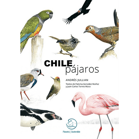Chile Pajaros
