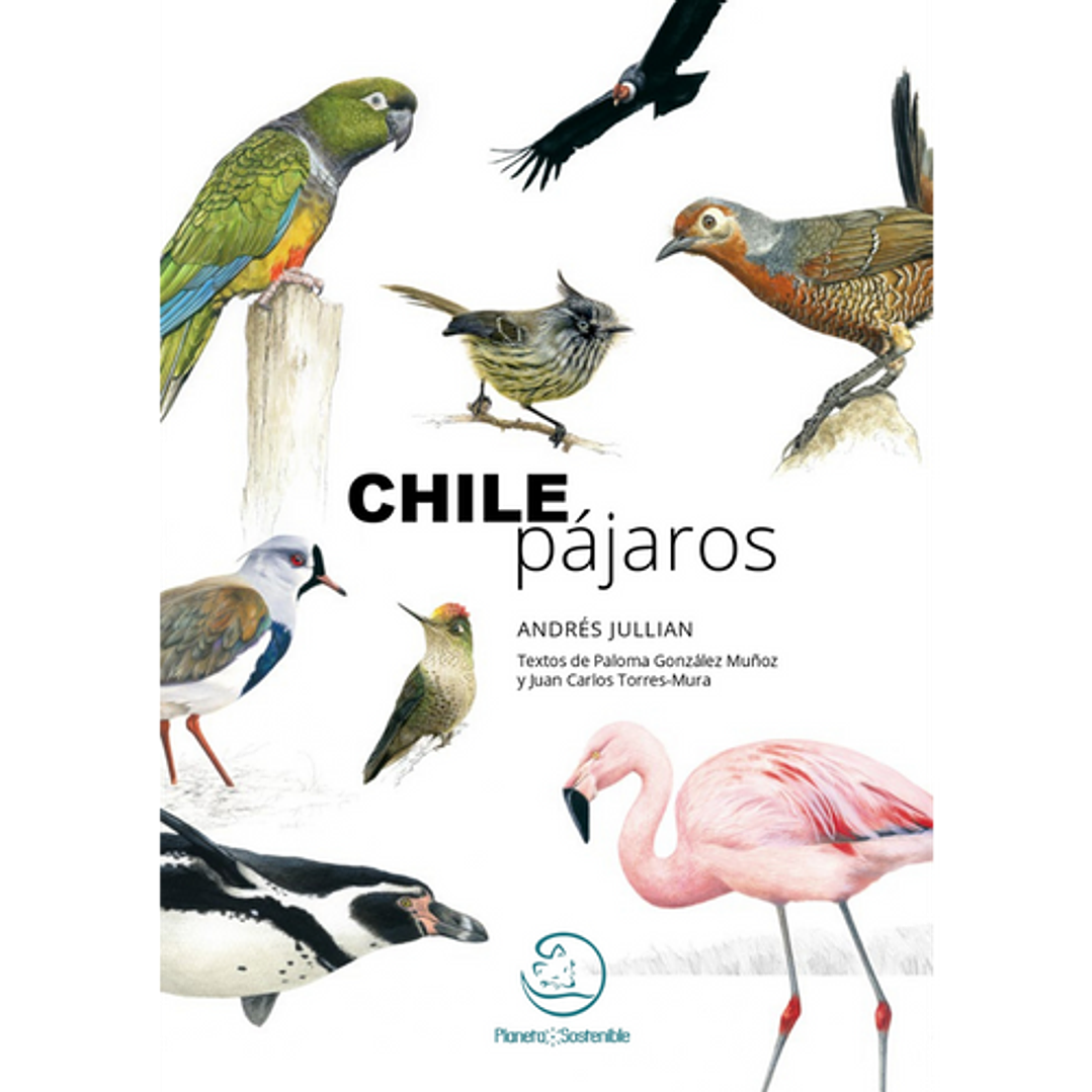 Chile Pajaros 1