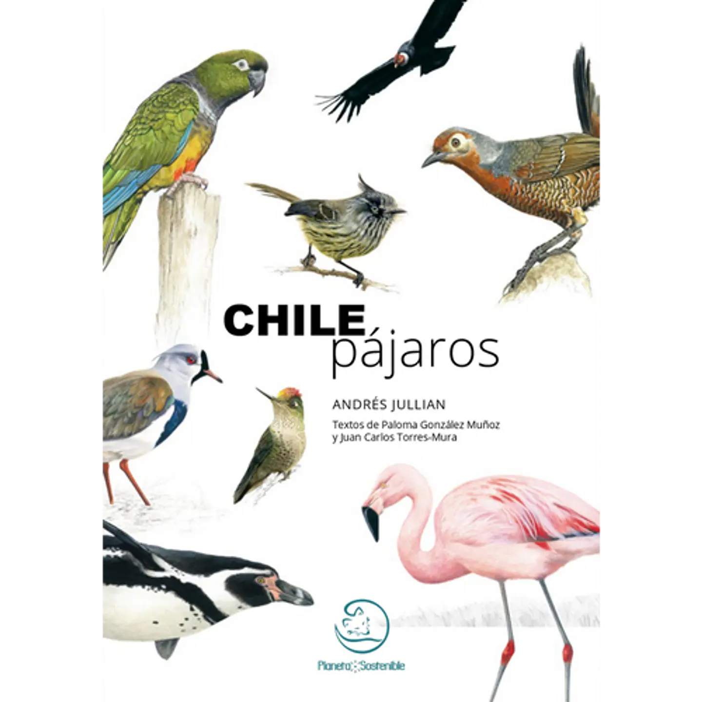 Chile Pajaros 1