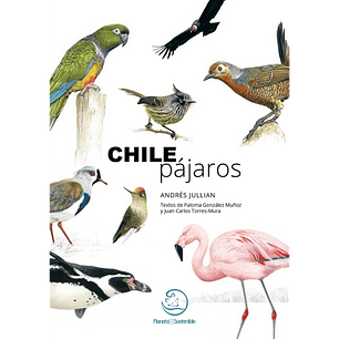 Chile Pajaros