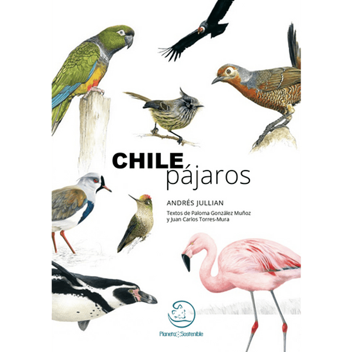 Chile Pajaros 1
