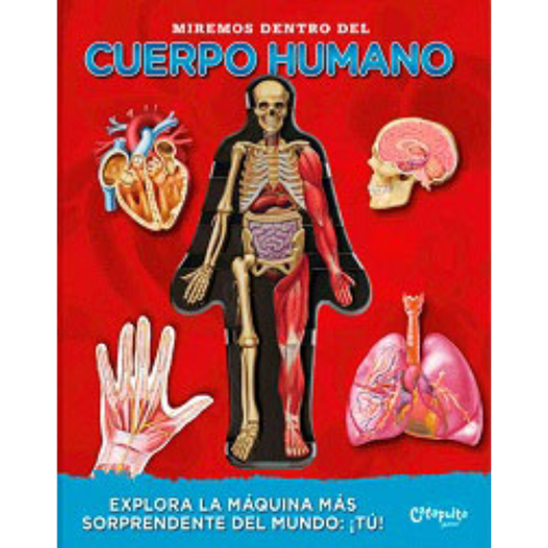 Miremos Dentro Del Cuerpo Humano 1